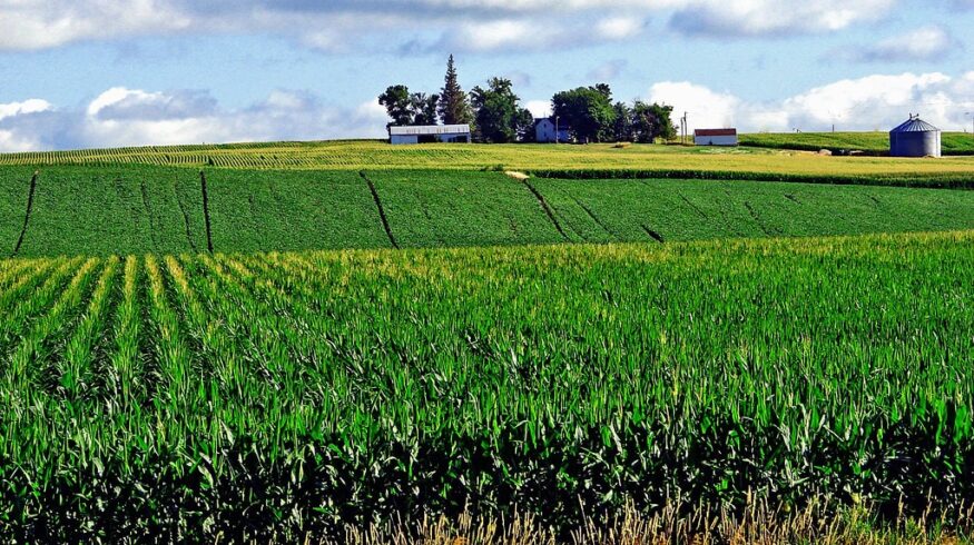 Novozymes и Anuvia Plant Nutrients создадут новые продукты