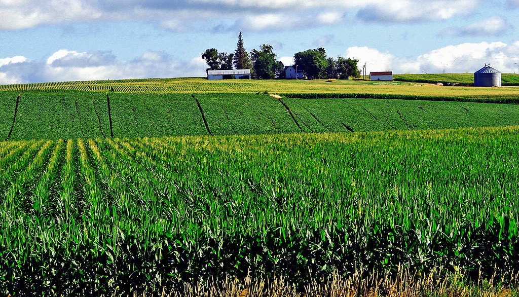 Novozymes и Anuvia Plant Nutrients создадут новые продукты