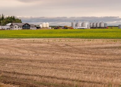 В Канаде создадут сеть вертикальных ферм