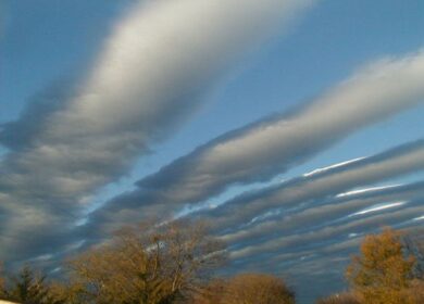 Цифровое земледелие поможет улучшить экологию
