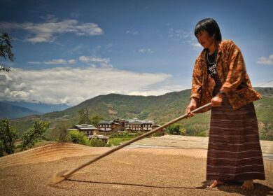 Бутан перейдет на органические удобрения