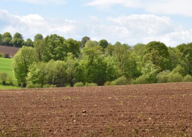 В Уругвае ограничивают использование дихлорида параквата