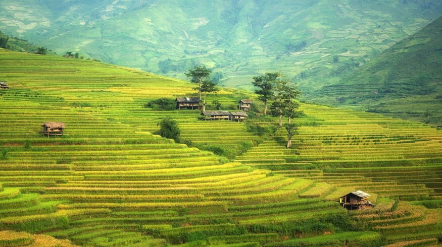 Gansu Binnong Technology запустила новый завод