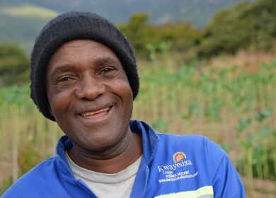 В Зимбабве идет подготовка к посевному сезону