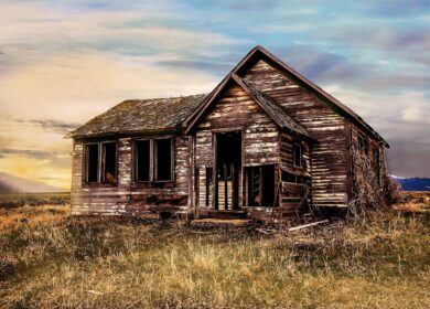 Bayer расширяет свою углеродную программу