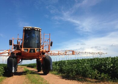 Рынок Индии наводнили импортные пестициды