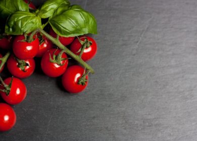 OCP Group и Syngenta укрепляют сотрудничество в томатной сфере