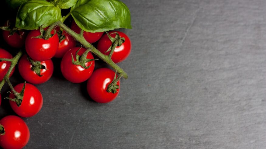 OCP Group и Syngenta укрепляют сотрудничество в томатной сфере