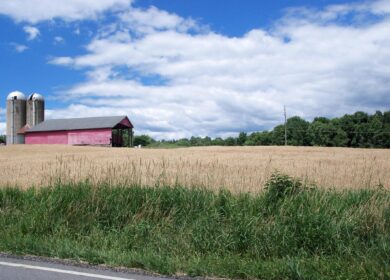 Tessenderlo Group откроет новое предприятие в США