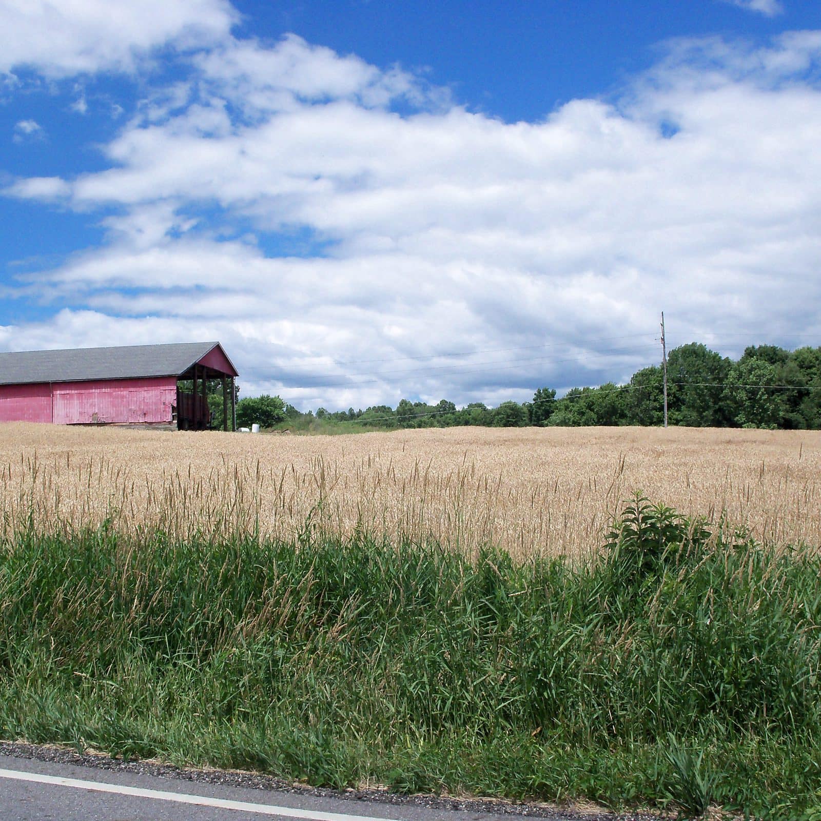 Tessenderlo Group откроет новое предприятие в США