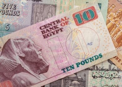 Дороговизна агрохимикатов угрожает продовольственной безопасности Египта