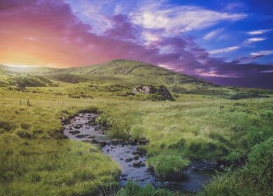 Сельское хозяйство Ирландии переживает трудные времена