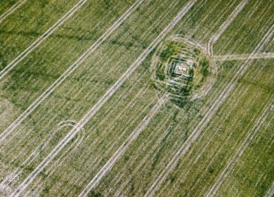 В Ирландии хотят снизить зависимость от агрохимикатов