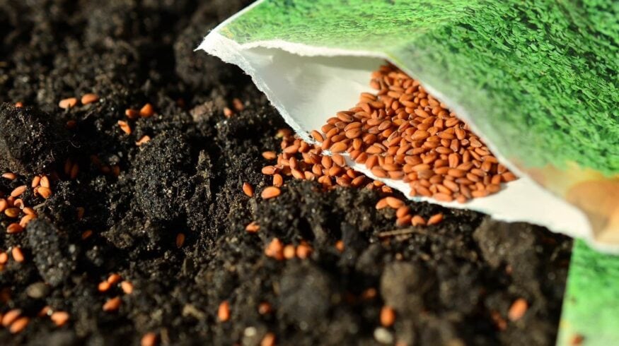 «ФосАгро» и FAO расширят сотрудничество