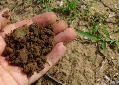 На помощь фермерам пришли мобильные анализаторы почвы