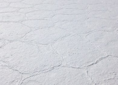 Ученые пытаются адаптировать сою к соли