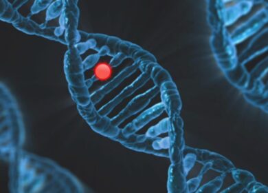 Бразилия прокладывает путь для генного редактирования