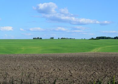 Башкирские аграрии получили заморозку цен