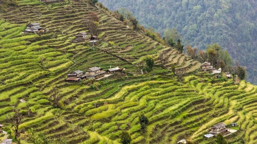 Непал испытывает дефицит минеральных удобрений