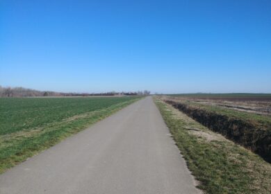 В Калужской области планируют закупить 44 тыс. тонн агрохимикатов