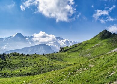 В Швейцарии сформируют обязательные запасы минеральных удобрений