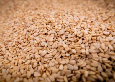 PSJ Group договорилась о сотрудничестве с AECI Plant Health