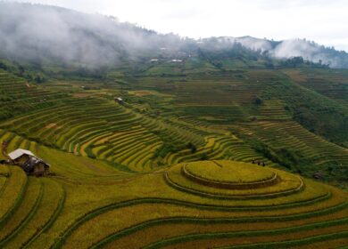 Jiangsu Changqing Agrochemical расширит производственные мощности
