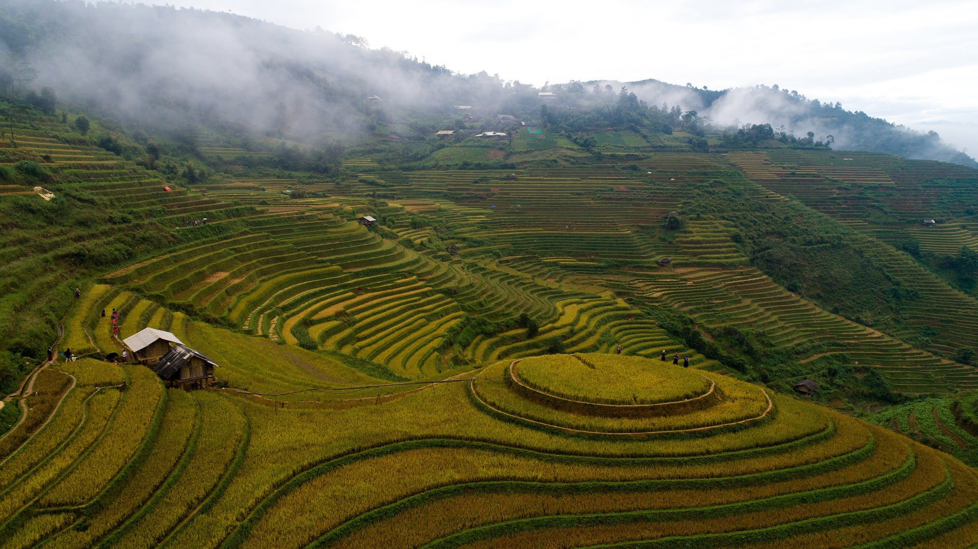 Jiangsu Changqing Agrochemical расширит производственные мощности