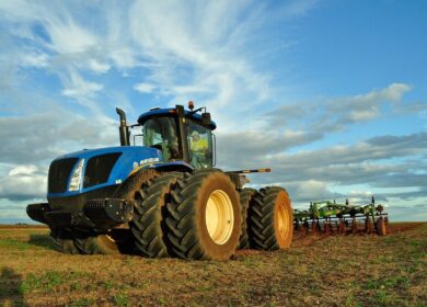 RDF Arad совершила выгодную сделку