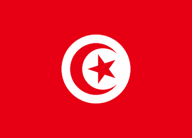 Тунис удвоит добычу фосфоритов к 2024 году