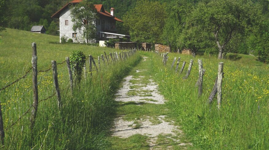 «Зеленая сделка» способна нанести вред Европе