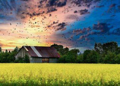 Кредитный кризис сокращает поставки глифосата в Северной Америке