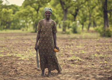 В Зимбабве поднялись цены на азотные удобрения