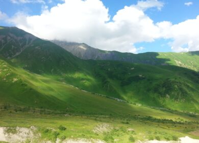 В Северной Осетии идут закупки для весеннего сева