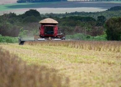 Бразилия ищет новых поставщиков агрохимикатов