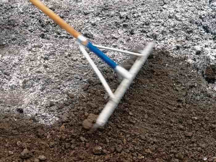 Известкование почв на участке