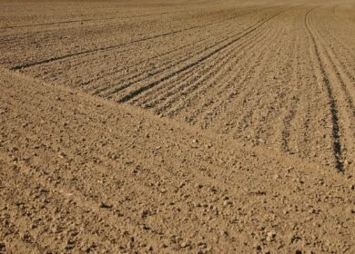 Goldman Group расширила земельный банк