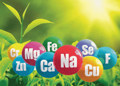 Микроэлементы, необходимые для развития растений