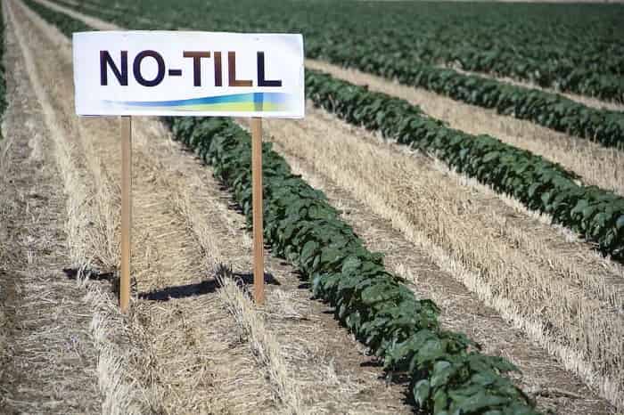 Система нулевой обработки почвы или технология No till