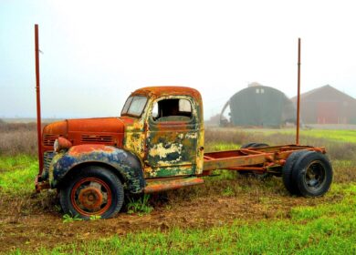 На Украине введен странный запрет