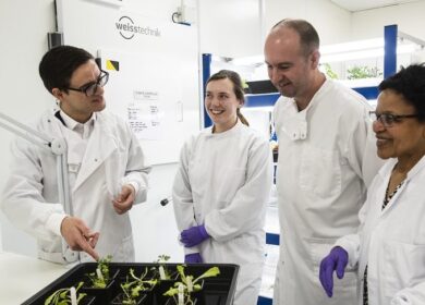 Британские ученые разрабатывают новые методы обработки семян