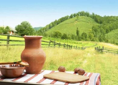 Сельский туризм: перспективы развития бизнеса в России