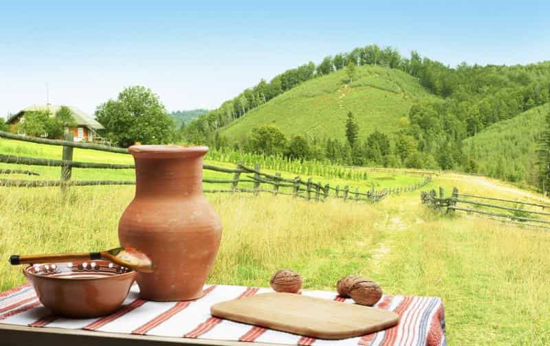 Сельский туризм: перспективы развития бизнеса в России