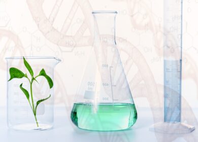 Longbai Group будет выпускать фосфорную кислоту