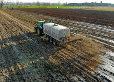 В Великобритании создана замена минеральным удобрениям