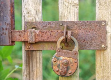 Одесский припортовый завод законсервировали