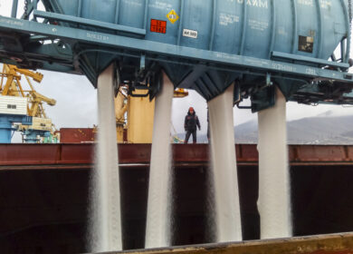 Россия продолжает экспорт в Бразилию