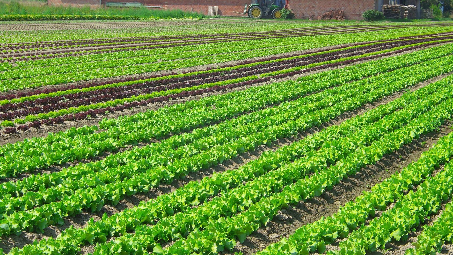 Внесение агрохимикатов в Волгоградской области вырастет на 20%