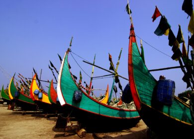 Бангладеш ищет замену хлористому калию из России