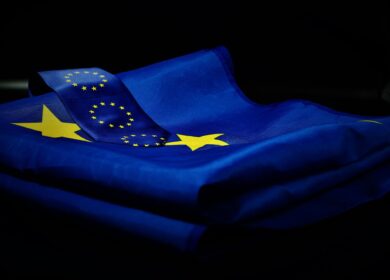 Европейскую комиссию просят смягчить новый регламент